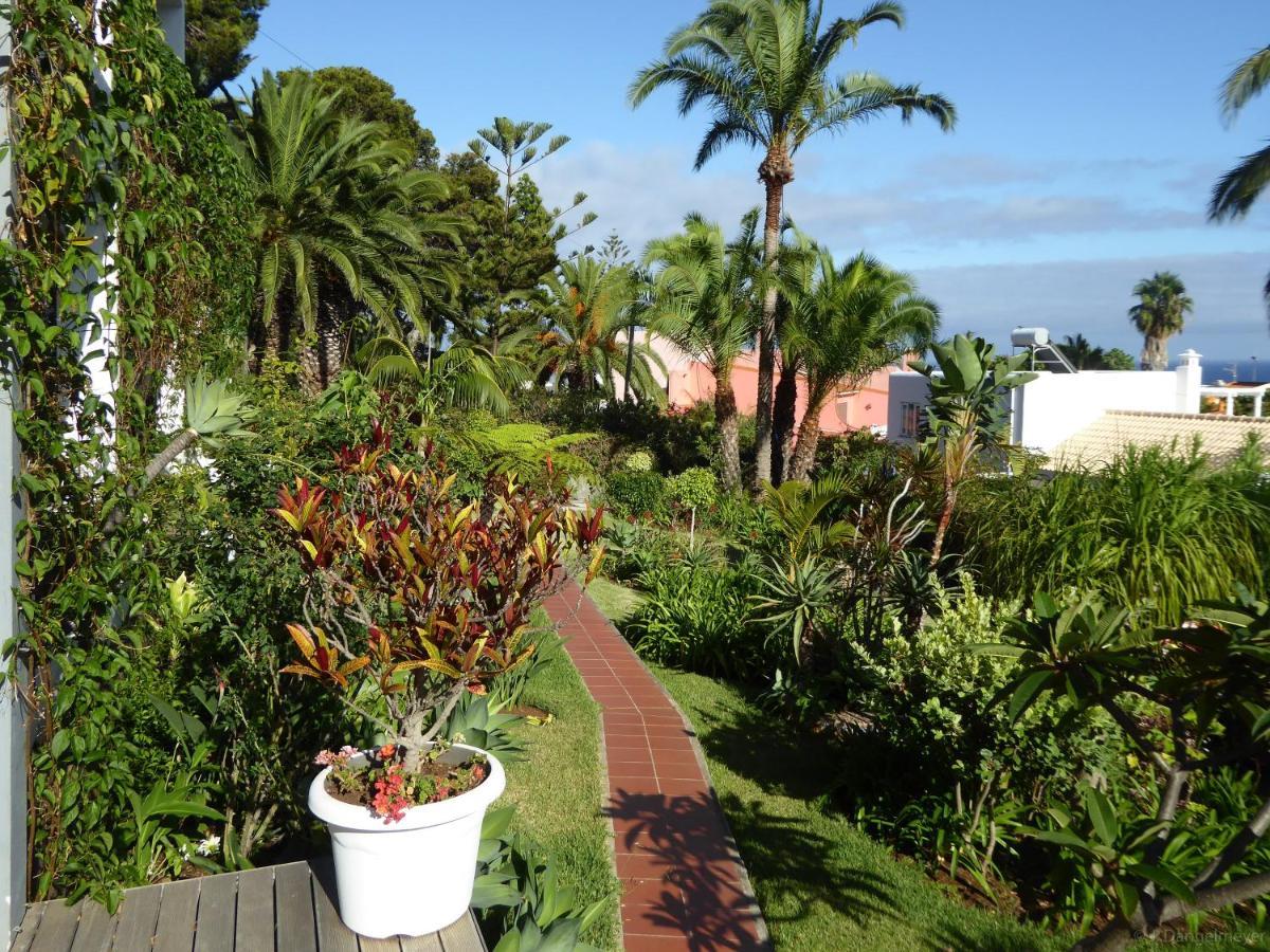 Villa Erika Madeira Канису Экстерьер фото