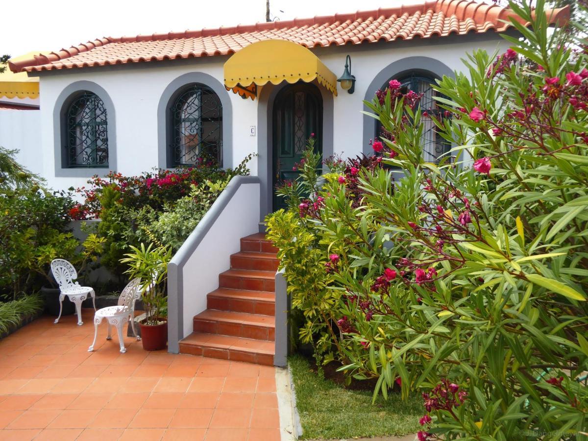 Villa Erika Madeira Канису Экстерьер фото