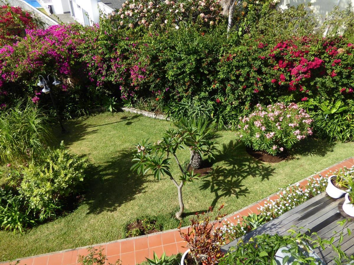 Villa Erika Madeira Канису Экстерьер фото