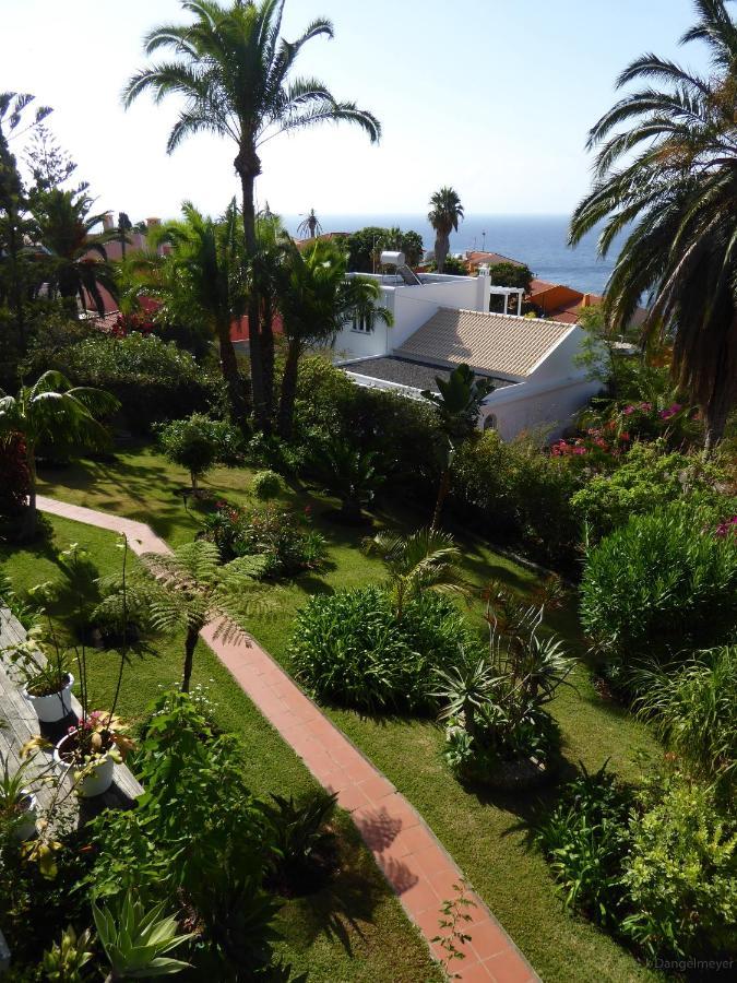 Villa Erika Madeira Канису Экстерьер фото